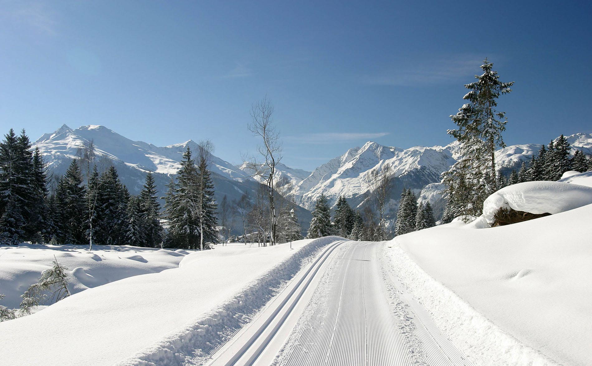 Winter am Rieserhof — Bild 3